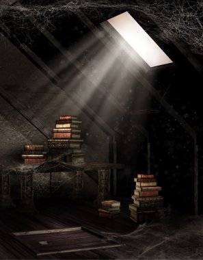 Kitaplar tozlu tavan