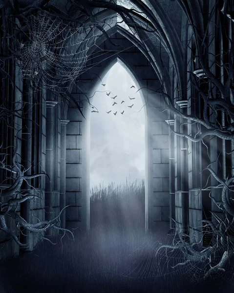 Örümcek ağları ile ürkütücü kapısı