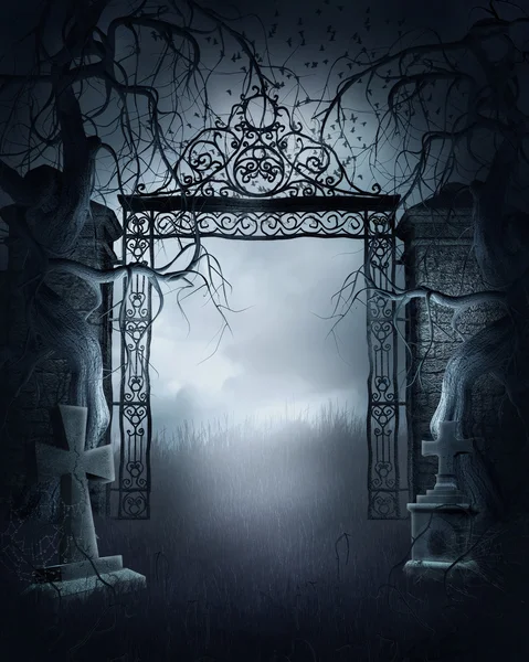 Foggy cemetery gate — Stock Photo, Image