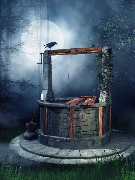 Old well with a raven — Stock Photo, Image