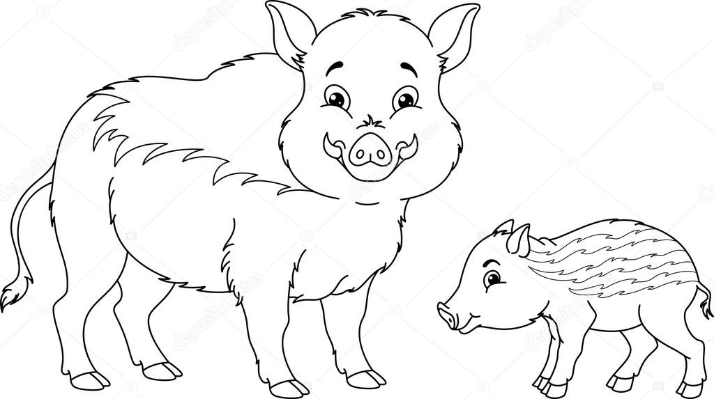 Wild Zwijn Kleurplaat Stockvector Malyaka 120648572