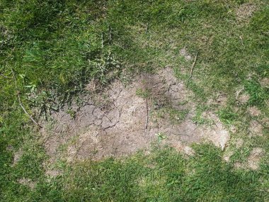 Çim arka plan. Meadow problem kavramı