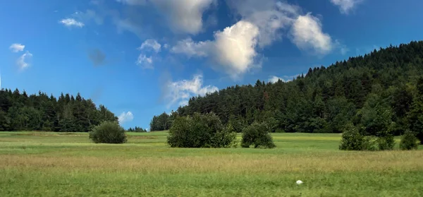 有树木和云彩的风景 — 图库照片