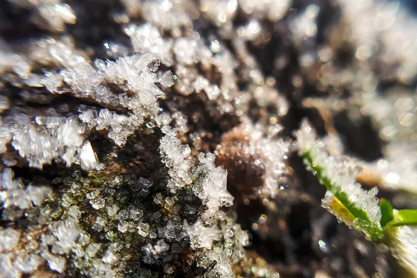 Eiskristalle Auf Grünem Gras Schließen Sich Natur Hintergrund Makro Morgentau — Stockfoto