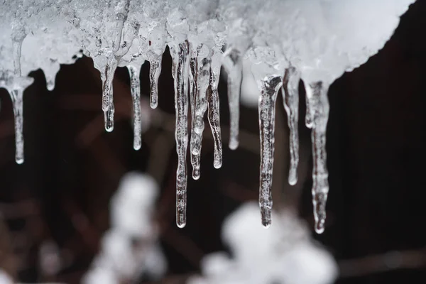 Buz saçakları kışın çatının altında asılıydı.