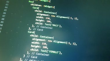 Kanat çırpma uygulamasının kod geliştirme ekranı. Bilgisayar ekranındaki kod satırları soyut