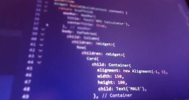 Kanat çırpma uygulamasının kod geliştirme ekranı. Bilgisayar ekranındaki kod satırları soyut