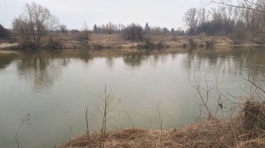 Kırsal nehir manzarası. Polonya 'da açık nehir manzarası. 