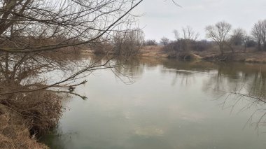 Kırsal nehir manzarası. Polonya 'da açık nehir manzarası. 