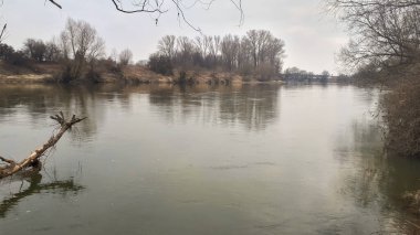 Kırsal nehir manzarası. Polonya 'da açık nehir manzarası. 