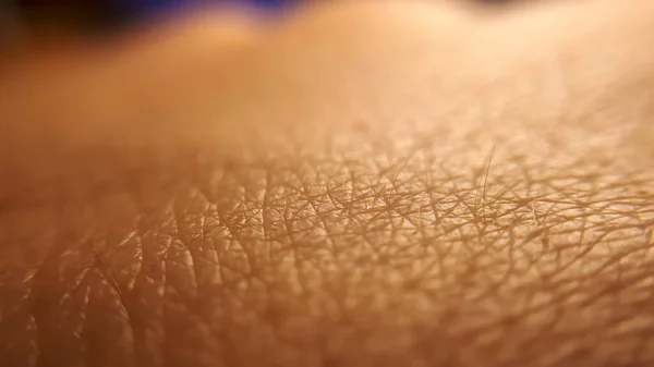 İnsan derisi dokusunun makrosu. Kadın ya da kız teni. Sağlıklı kahverengi beyaz tenli dermatoloji deseni. Derinin detaylarını kapat