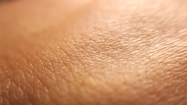 Macro Textura Piel Humana Piel Mujer Niña Patrón Dermatológico Piel — Foto de Stock