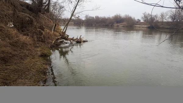 Countryside River Scene Outdoor River Landscape Poland — Stock Photo, Image