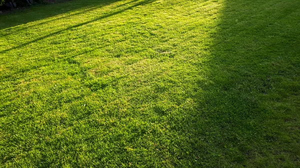 Hierba Verde Recién Cortada Con Rayas Cortacésped Jardín Tranquilo Con —  Fotos de Stock