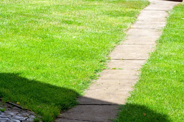 Passerella Cemento Tra Prato Verde Del Giardino Sfondo Marciapiede Cemento — Foto Stock