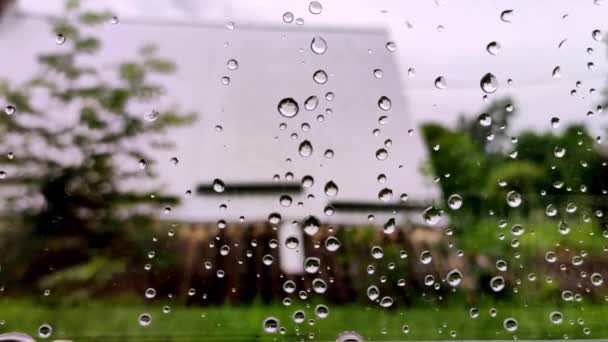 Echte Regentropfen Rutschen Auf Die Fensterscheibe Starkregen Nahaufnahme Von Wassertropfen — Stockvideo