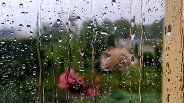 Echte Regentropfen Rutschen Auf Die Fensterscheibe Starkregen Nahaufnahme Von Wassertropfen — Stockvideo