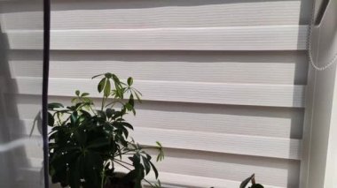 Gri silindirli kör tip gece gündüz evde