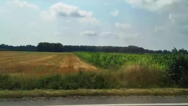 Ein Blick Aus Dem Autofenster Seitenscheibenblick Auf Das Auto Das — Stockvideo