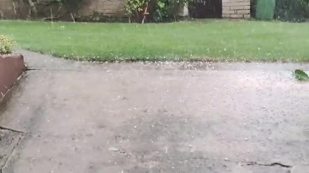 Tormenta Lluvia Con Granizo Cambio Climático Clima Malo Extremo Granizo — Vídeo de stock