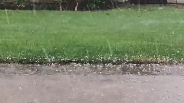 Дождь Градом Изменение Климата Плохая Экстремальная Погода Хайль Падает — стоковое видео