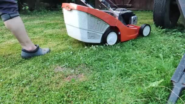 Lawn Shortening Gardening Concept Mowing Lawn Lawn Mower — Stock Video