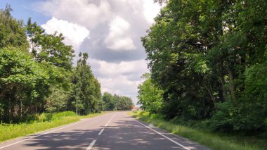 Kırsal kesimde bir yol. Yaz gezisi. Kırsal sokak. Orman