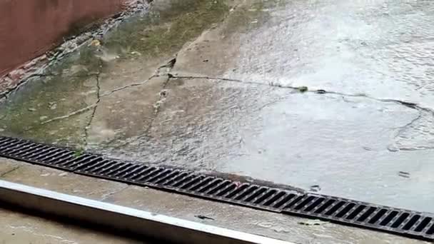 Grelha Drenagem Chuva Água Corrente Fecha Porta Conceito Tempestade Drenagem — Vídeo de Stock