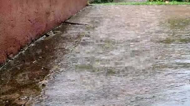 Tormenta Concepto Lluvia Intensa Lluvia Cayendo Violenta Tormenta Granizo — Vídeo de stock