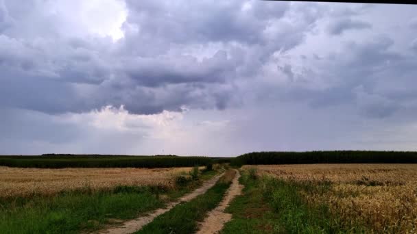 Moln Över Himlen Väg Och Jordbruksområdet Landsbygdsmiljö — Stockvideo