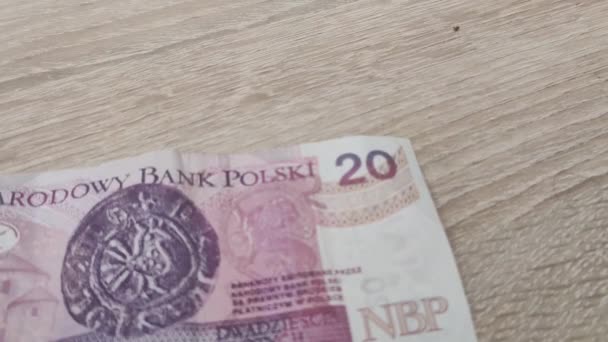 Польская Банкнота Злотых Лупой — стоковое видео