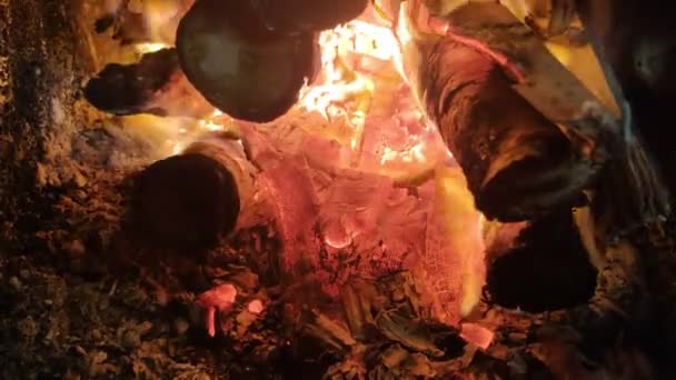 Brännande Eld Röd Eld Bränner Trä Mörker Aska Eld Närbild — Stockvideo