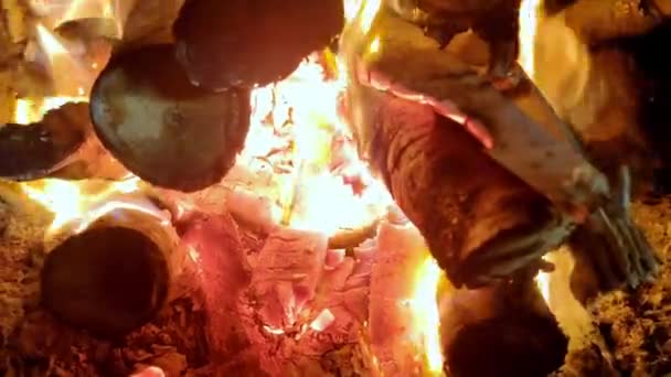 Burning Fire Red Fire Burns Wood Dark Ash Fire Closeup — Stock Video