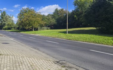 Sakin bir banliyö sokak manzarası, yol boyunca açık mavi gökyüzü ağaçları ve çimenli bir arazi. Sükunet ve açık alan kavramları için ideal..