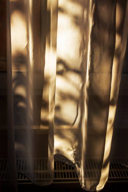 Yumuşak güneş ışığı perdelerden süzülüp pencereye hassas desenler bırakıyor. Ilık parıltı, ev veya rahatlama ayarları için ideal huzurlu bir atmosfer yaratıyor..