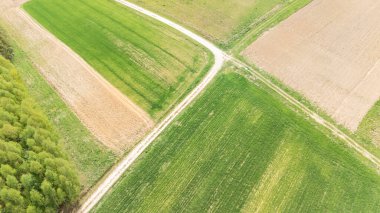 Yeşil ve kahverengi bölgeleri gösteren tarımsal alanların havadan görünüşü. Toprak yol araziyle kesişiyor kırsal çekiciliğini ve tarım özünü geliştiriyor..