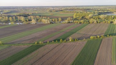 İlkbaharda tarım alanlarının havadan görünüşü yeşil ve kahverengi ekin ve ağaç desenleri sergiliyor. Canlı bir manzara yaratıyor. Tarım ve doğa temaları için mükemmel..
