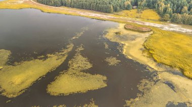 Yemyeşil ormanlarla çevrili kıyılarda açan sarı-yeşil su bitkileriyle dolu sakin bir göl manzarası vahşi doğanın güzelliğini gözler önüne seriyor..