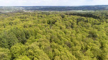 Berrak mavi gökyüzünün altındaki tepeleri kaplayan yemyeşil ormanın havadan görünüşü. Bu canlı manzara doğanın güzelliğini sergiliyor. Açık hava aktiviteleri ve sükunet için ideal..