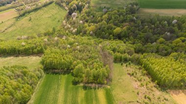 Bereketli yeşilliğin hava manzarası bahar mevsimi boyunca tarım alanlarıyla karışık çeşitli orman manzaraları sergiliyor. Doğa ve çevre projeleri için mükemmel.