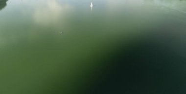 Sakin, yeşil bir göl manzarası. Sükunet ve macera çağrıştıran doğal manzarayla çevrili sularda yüzen küçük beyaz bir yelkenli..