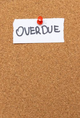 Teslim tarihlerinin belirtilmesi ve eğitim veya iş bağlamlarına uygun eylemlerin aciliyetinin vurgulanması için gecikmiş bir mantar kuruluna eklenen el yazısı notu.