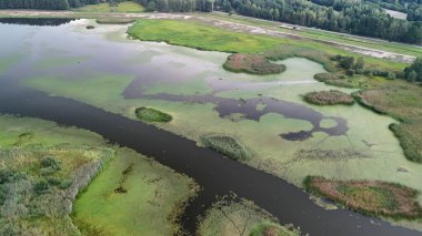 Çeşit çeşit bitki örtüsü ve su kütlelerinin bulunduğu yemyeşil sulak bir arazinin havadan görünüşü bu sakin manzarada doğal güzelliği ve çevresel önemi gösteriyor..