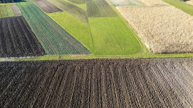 Uyumlu bir ortamda yeşil kahverengi ve sarı yamalar da dahil olmak üzere çeşitli desenleri ve renkleri gösteren canlı tarım arazilerinin havadan görünüşü. Tarım temaları için ideal.