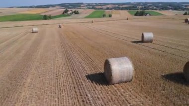 Açık bir yaz gökyüzünün altında saman balyalarıyla hasat edilmiş bir tarlanın havadan görünüşü.