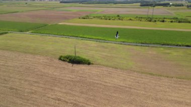 Ağaçlarla çevrili, hasat edilmiş ve yeşil ekinlerle dolu bir tarım alanının havadan görünüşü.