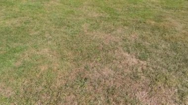 Yeşil çimenli bir arka bahçenin havadan yakın çekimi, doku ve desenlere odaklanıyor..