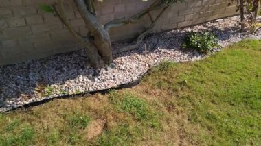 Yeşil çimenli ve dekoratif kaya kenarlı bir yerleşim bölgesinin geniş açılı görüntüsü..