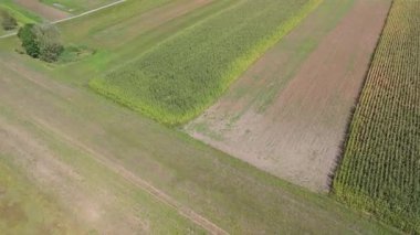 Yeşilin çeşitli tonlarında çeşitli ekin tarlaları olan bir çiftlik manzarası..