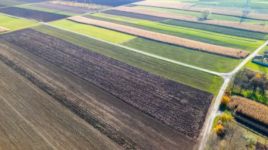 Gelişmiş tarım alanlarının havadan görünüşü zengin doku ve renkleri gösteriyor. Manzarada tarlalar sürülmüş yeşil tarlalar ve kırsal tarımı temsil eden sıra sıra ekinler yer alıyor..